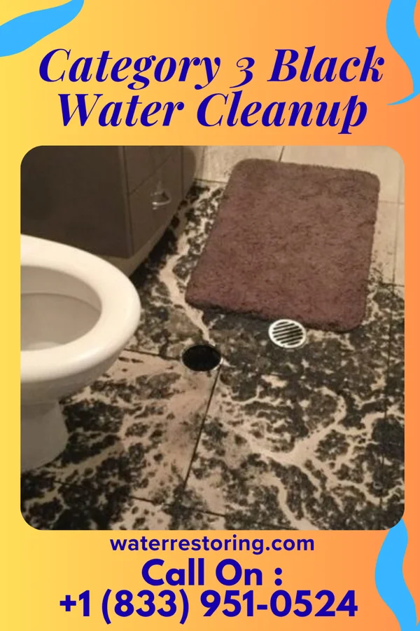 Category 3 Black Water Cleanup in Macedonia, OH
