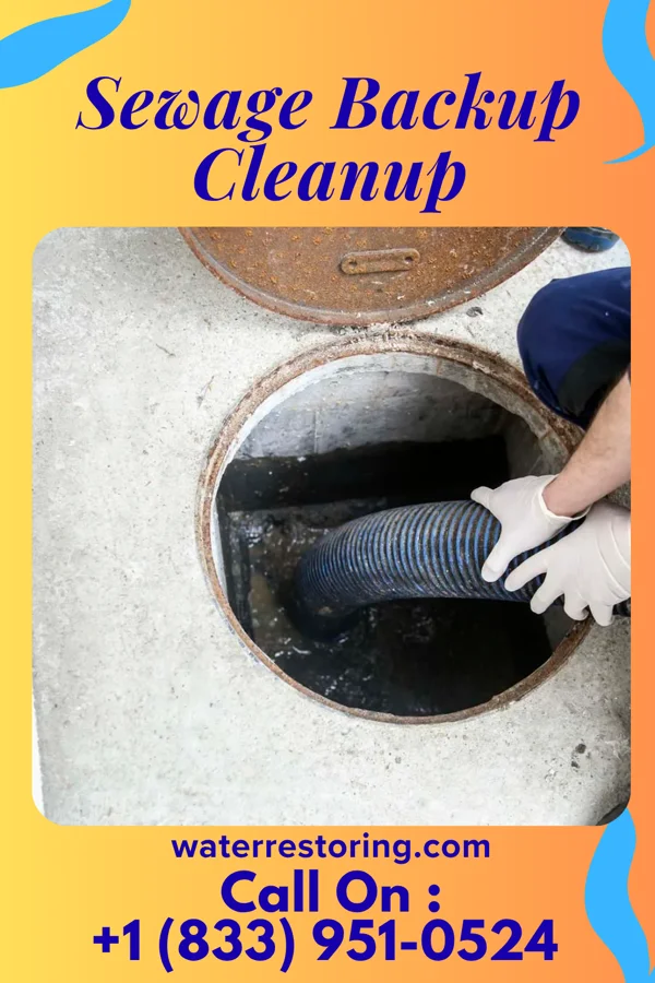 Sewage Backup Cleanup in Macedonia, OH